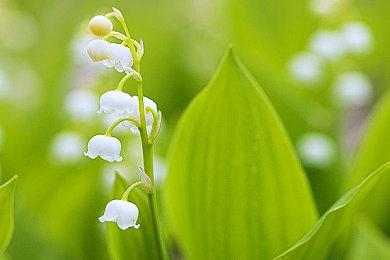 《遥远的圆形世界》体验版发布 好评如潮《重返蓝鲸岛》续篇